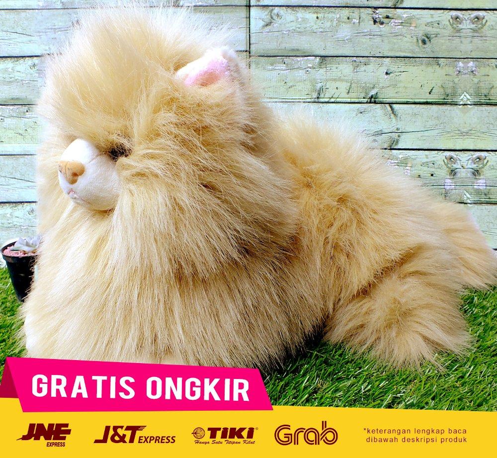 Boneka Kucing Anggora Cream - HK - 538460 # Galeri Boneka pinkcherry