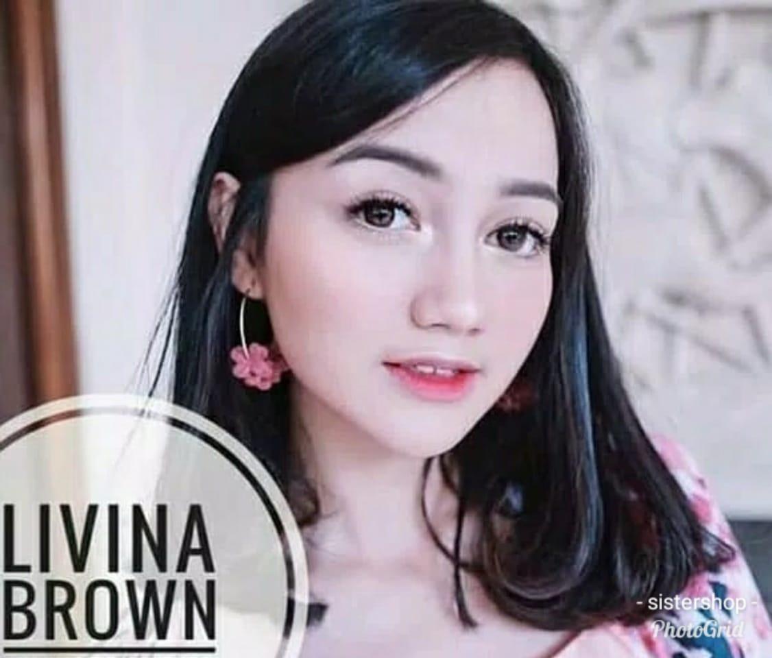 mariaty shop softlens livina brown normal only + free lenscase