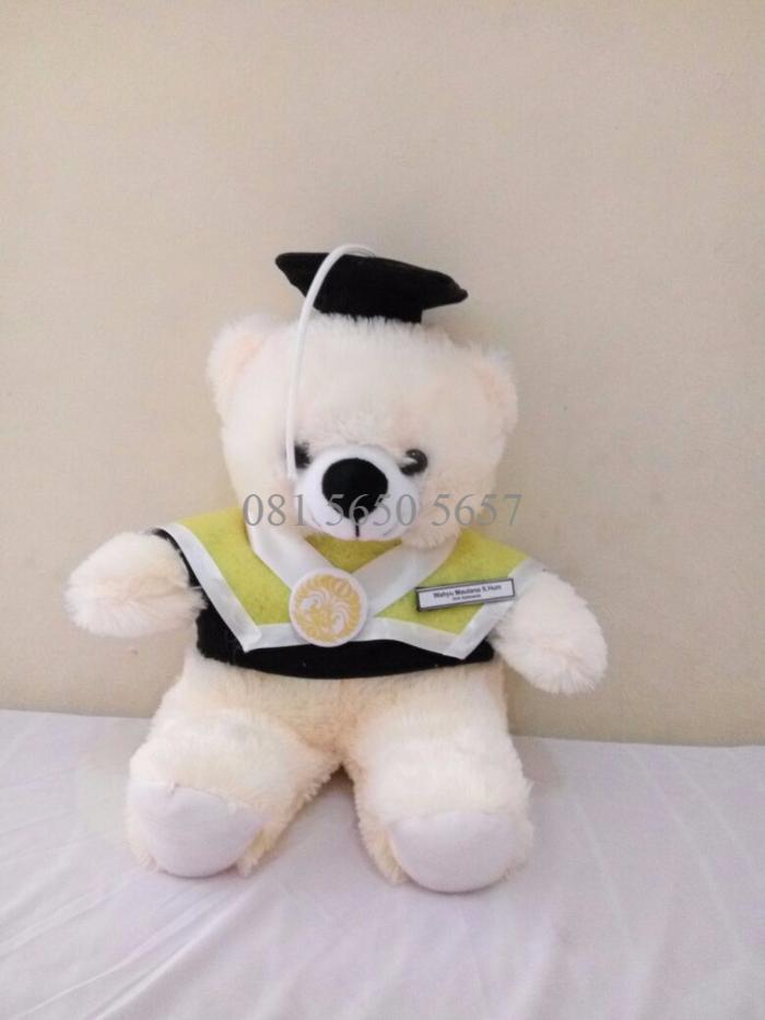Boneka Wisuda Teddy Bear | Boneka Wisuda Doraemon | Depok, Semar - 6Xowtd