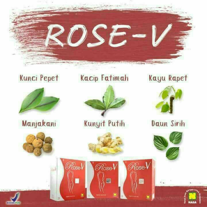 Rose V Original / Agen Nasa Bekasi