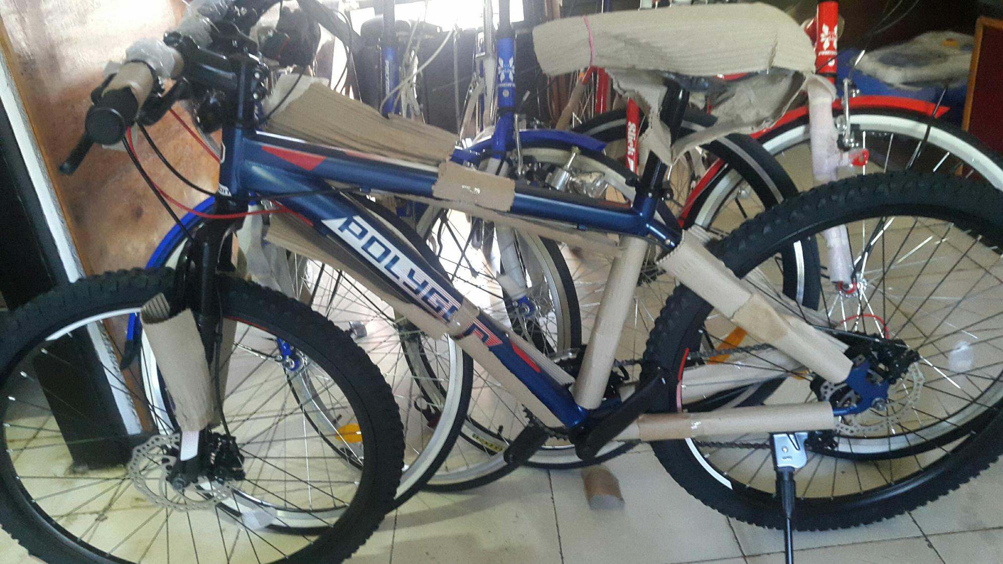 sepeda gunung mtb polygon monarch 4.0