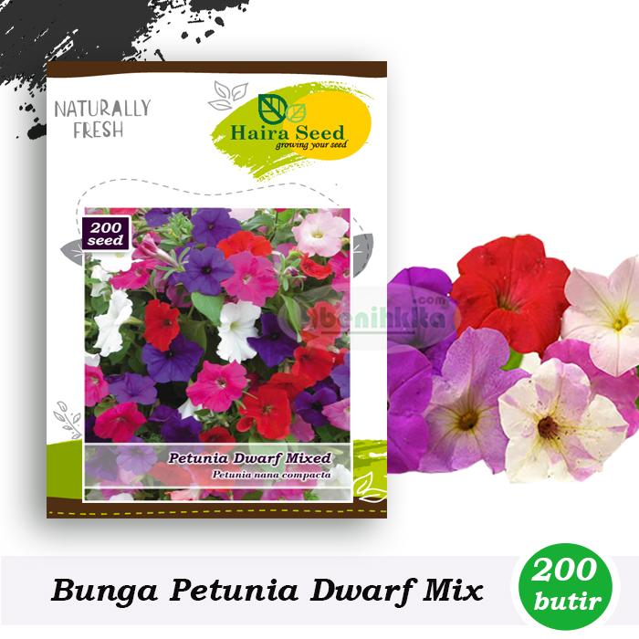 Benih-Bibit Bunga Petunia Dwarf Mix (Haira Seed)