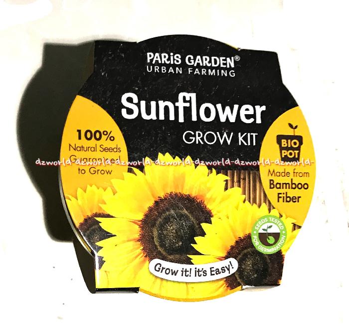 Paris Garden Sunflower Pot Kids Bibit Tanaman Bunga Matahari