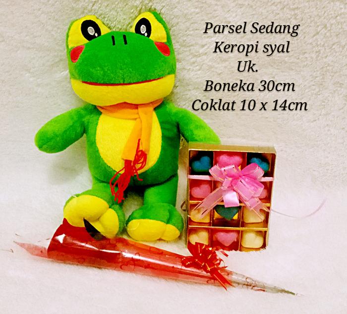 Parsel Valentine Sedang (Boneka Keropi + Coklat Valentine + Bunga) - Ilccye