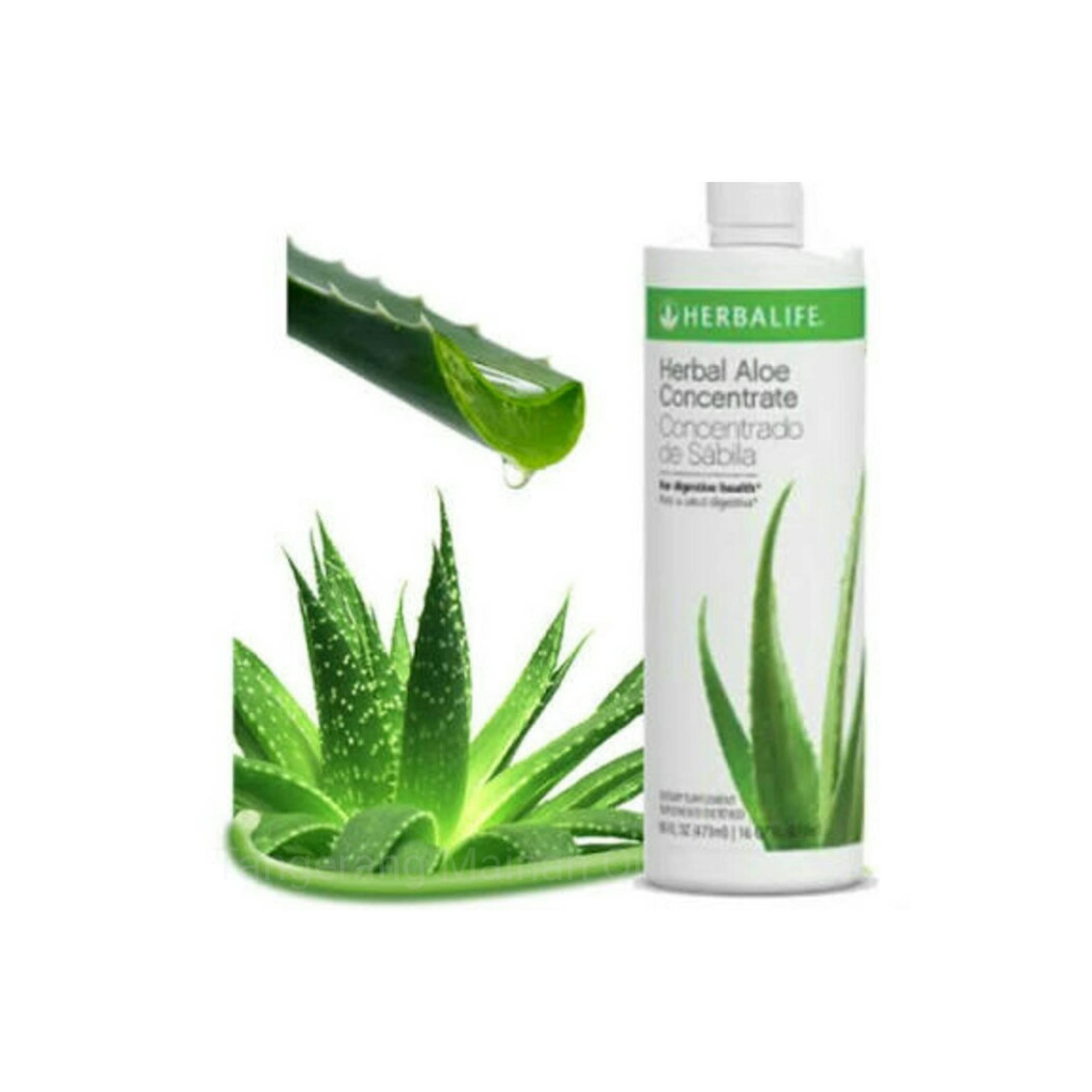 Sale Termurah Herbal Life Aloe Concentrate Untuk Pencernaan Maag Murah