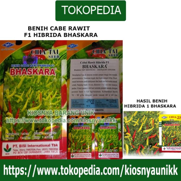 Harga Spesial!! Cabe Rawit Hibrida F1 Bhaskara Benih Cabai Rawit Hibrida F1 Bhaskara - ready stock