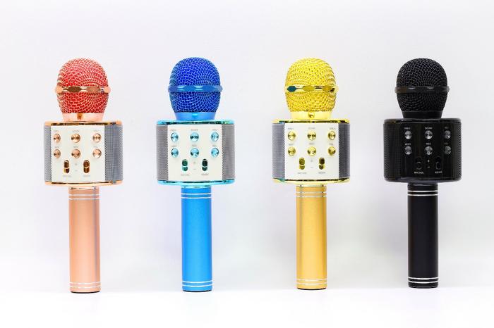 Weister Mic Smule Karoke Bluetooth WS 858 Mic Speaker Led