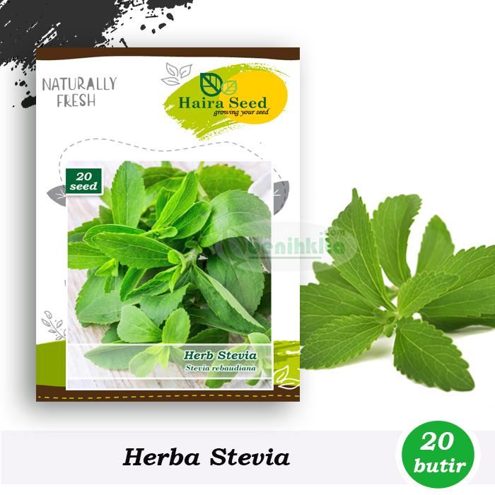 Benih-Bibit Herba Stevia (Haira Seed)