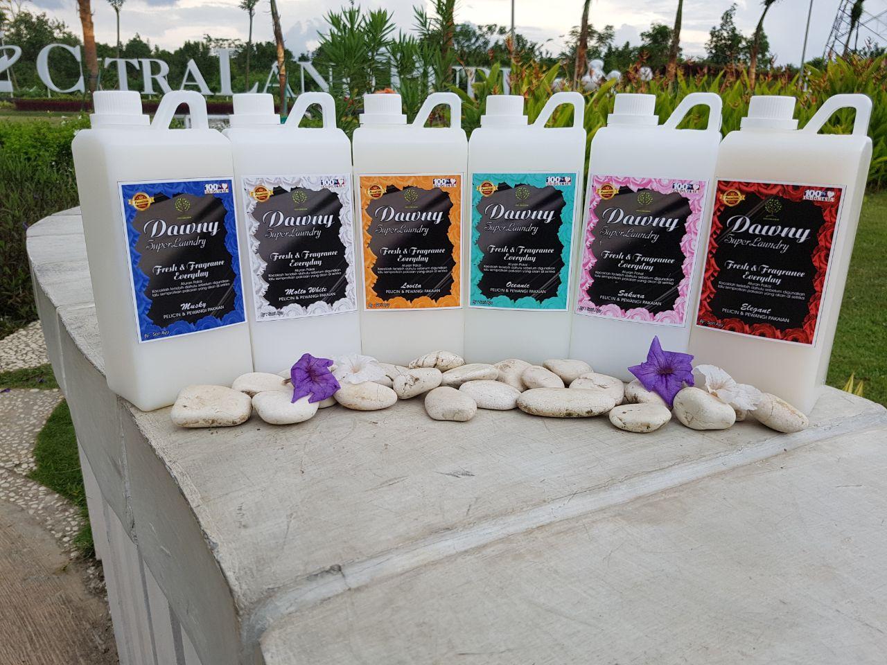SUPER MURAH! DAWNY SUPER LAUNDRY VARIAN MOLTO WHITE KUALITAS BAGUS