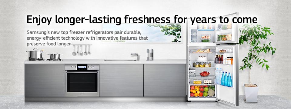 Samsung - Kulkas 2 Pintu RT 20 FARWDSA