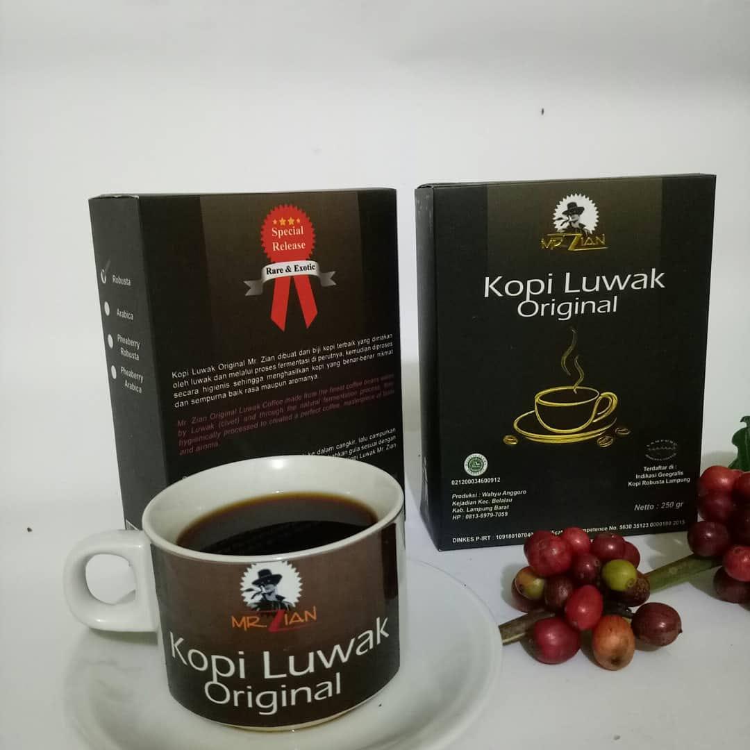 Kopi Luwak Original Asli Lampung