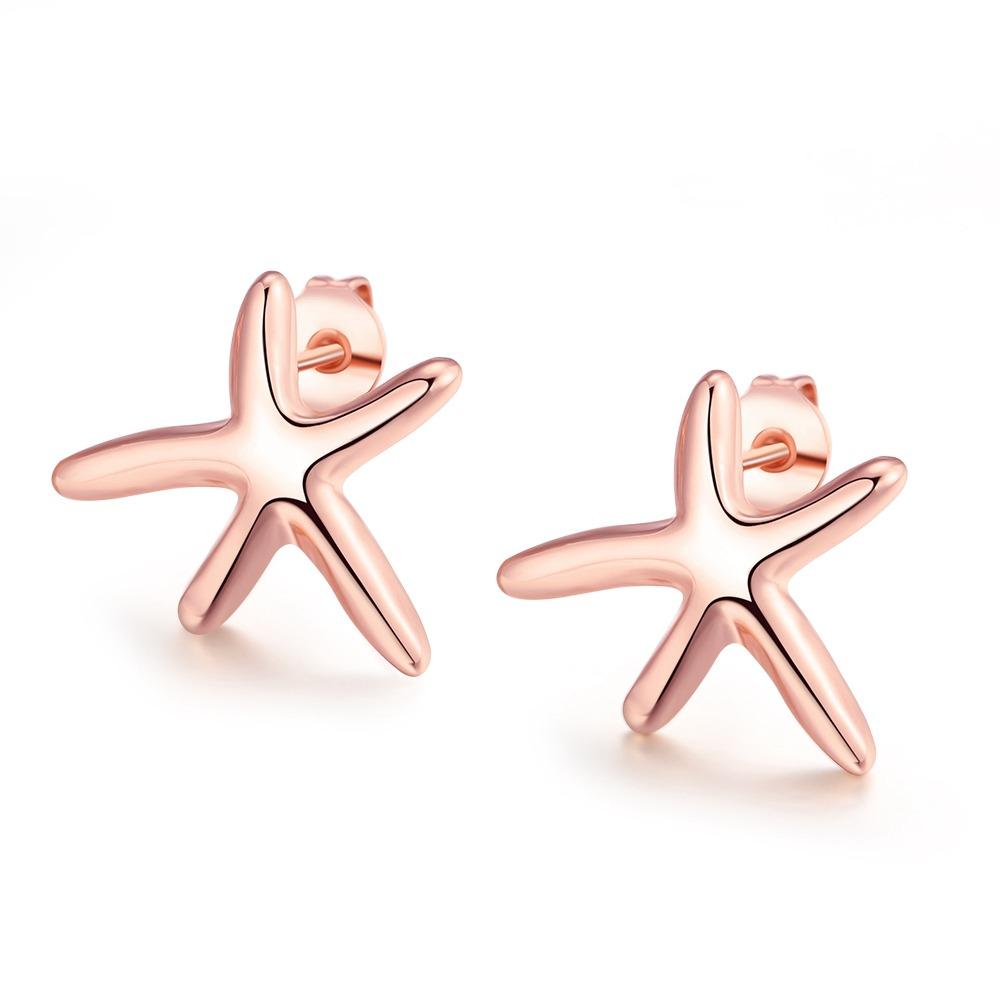 Bella & Co Earrings AKE024 Aksesoris Perhiasan Anting Lapis Emas Rose