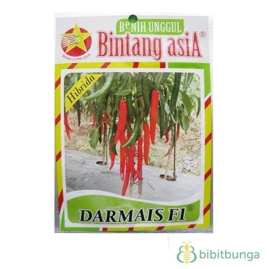 Bibit Bunga Benih Bintang Asia Cabe Besar Darmais F1 – 1.500 Biji
