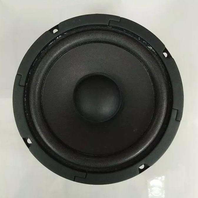 speaker 24 inch acr