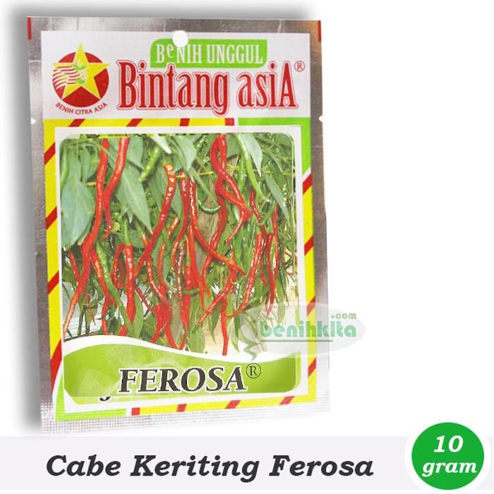 Benih/Bibit Cabe Keriting Ferosa (Bintang Asia)