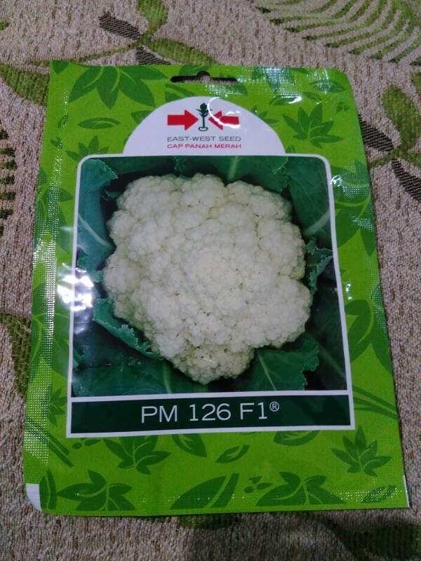 Promo - 250btr Benih Kembang Bunga Kol PM 126 F1 Panah Merah, original pack Import