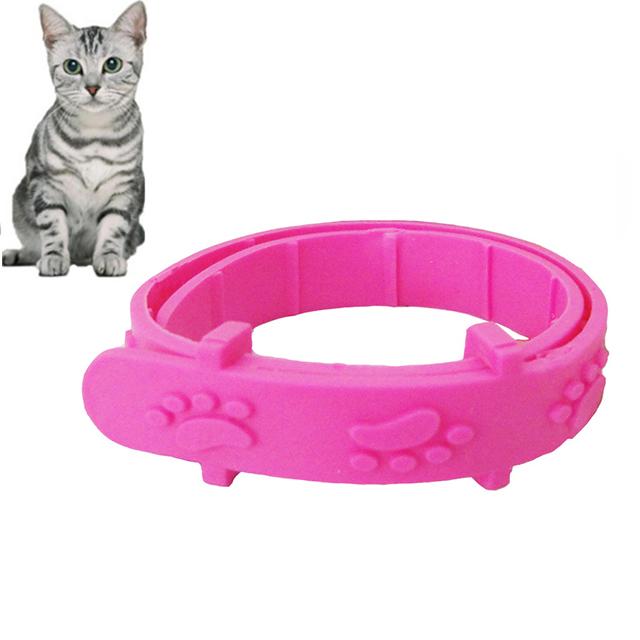 Kalung Kutu Tungau Caplak Kucing Anak Anjing Flea And Kerah Kutu