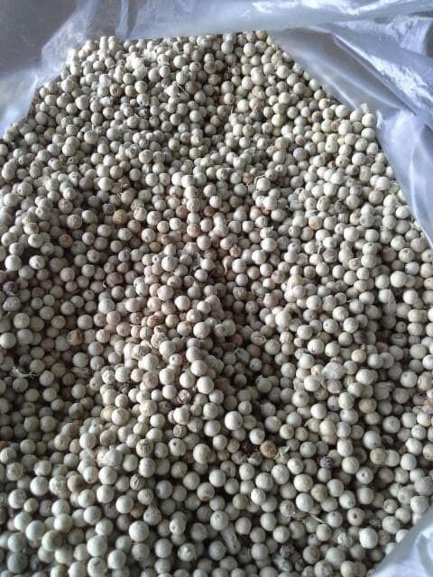 Lada Sahang Merica Putih Halus Bangka Belitung 1 Kg