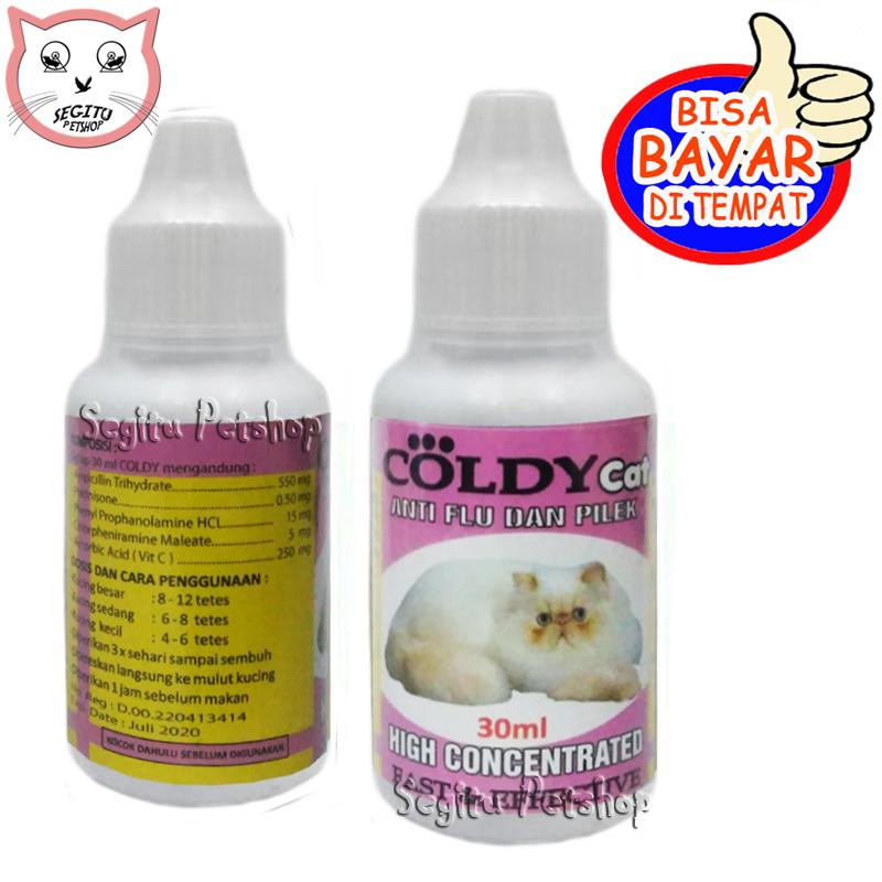 OBAT FLU KUCING PILEK BERSIN BERSIN COLDY