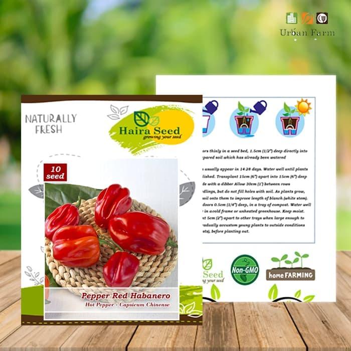 Promo - Benih-Bibit Cabe Super Pedas Red Habanero (Haira Seed) Import