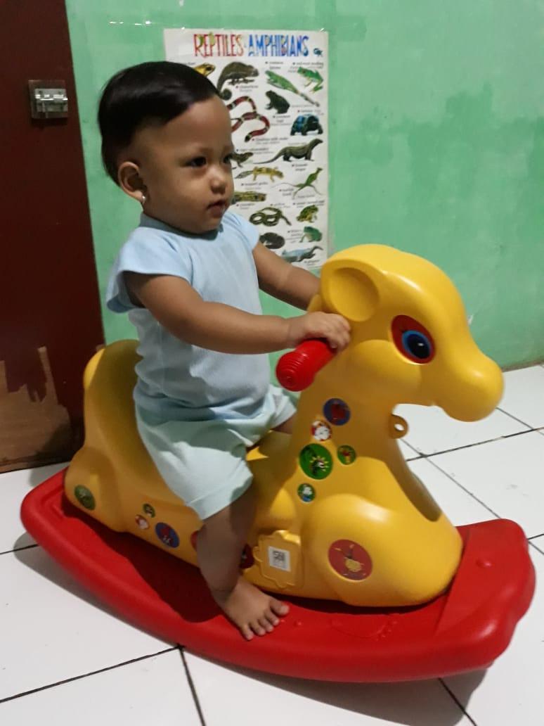 Mainan Kuda kudaan atau jungkat jungkit anak Rockhing horse merk Tajimaku