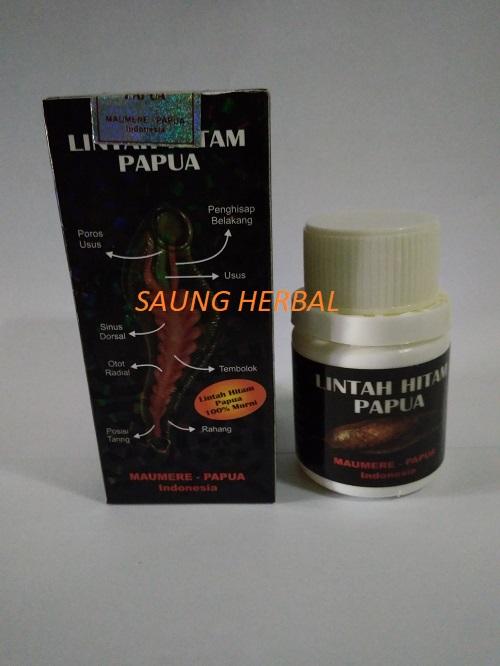 Bukan minyak belut 60 ml