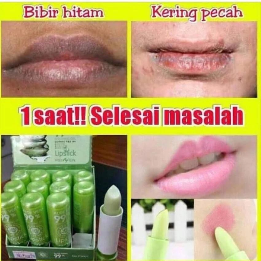 Kiss Beauty Lipbalm Aloe Vera 99{55e037da9a70d2f692182bf73e9ad7c46940d20c7297ef2687c837f7bdb7b002} Lipbalm ALOE VERA / Lipstik Moistruizing / Lipstick Lip balm Lidah buaya / Lipbalm Bibir Pecah Kering Sariawan