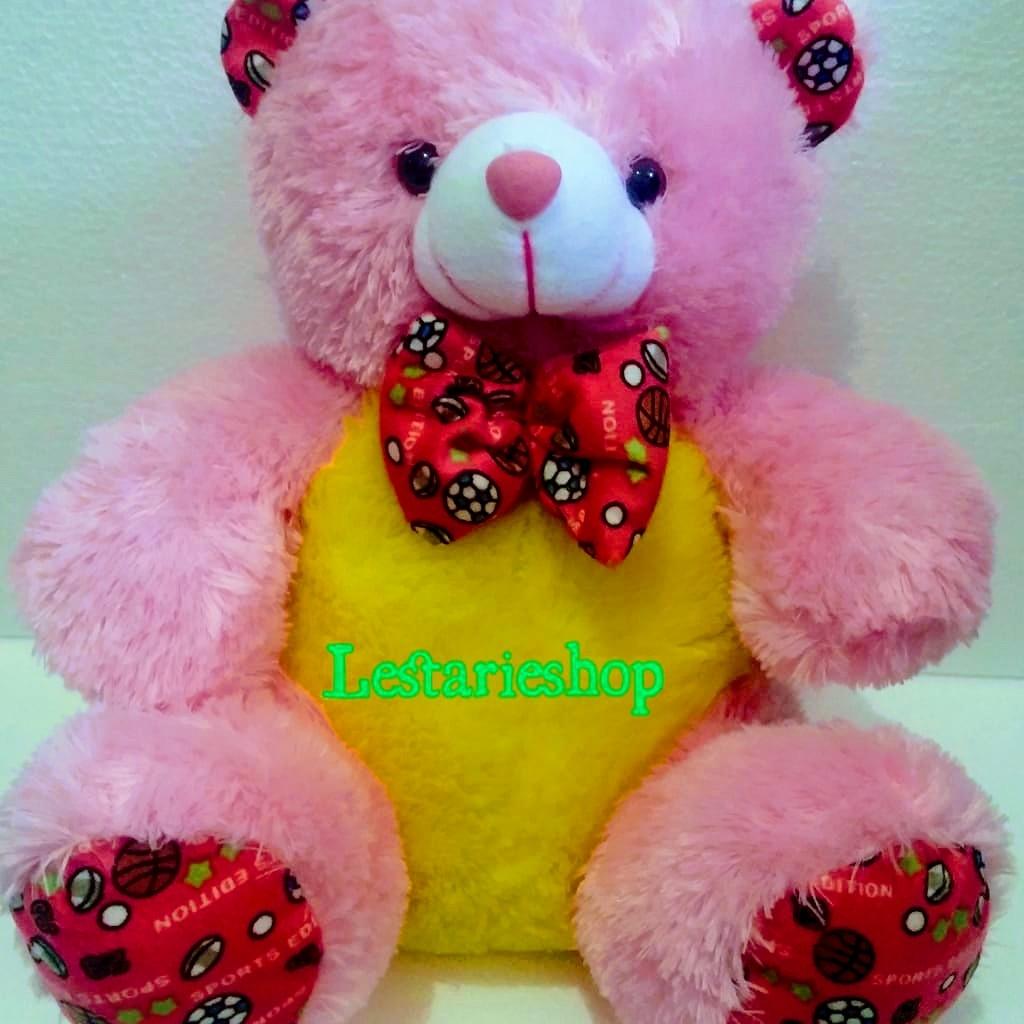 boneka anak teddy bear/boneka teddy bear/boneka lucu