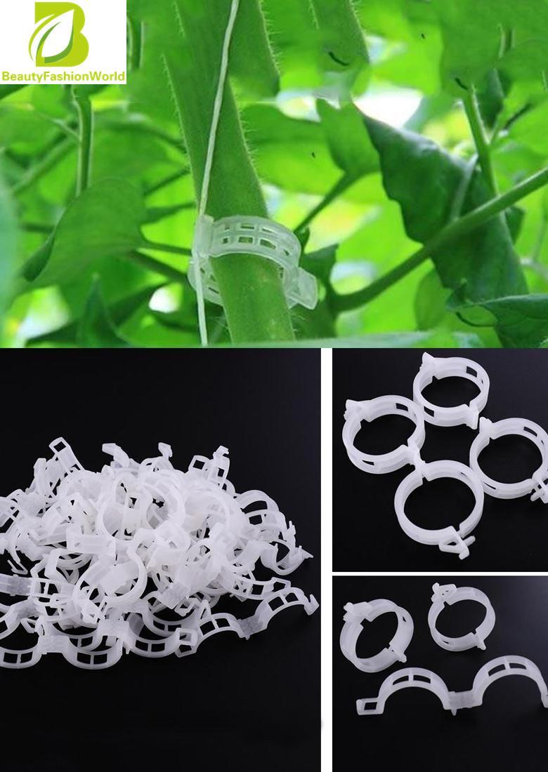 50 Pcs Klip Tanaman Sayuran Pokok Hanging Orchid Klip