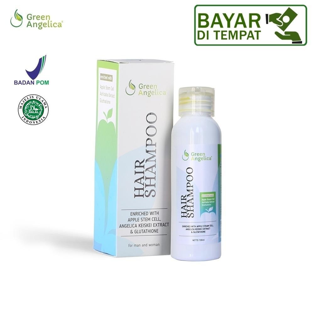 Shampo anti ketombe, shampo rambut lepek, shampo herbal alami, shampo 100% halal dan aman BPOM Indonesia, Green Angelica Hair Shampo