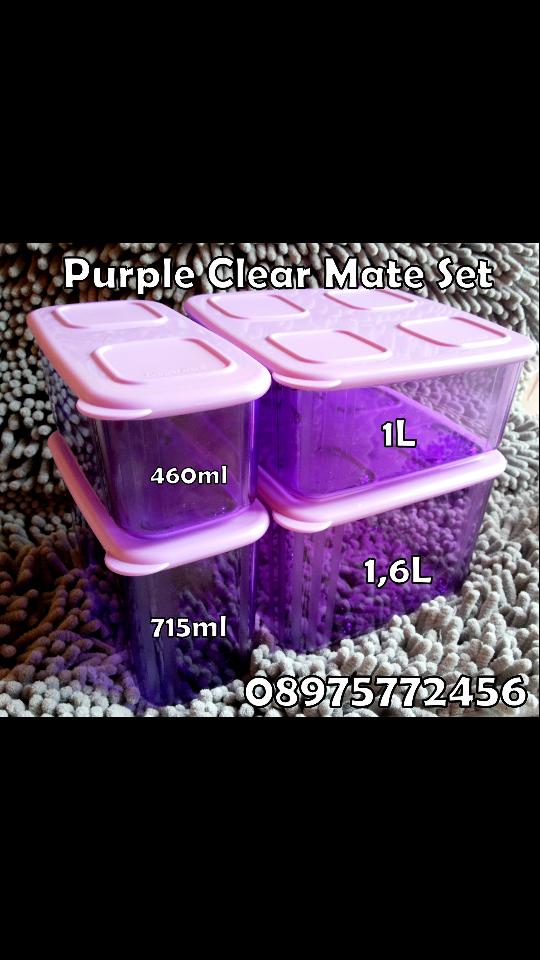 TERBARU Purple Clear Mate Set Tupperware Activity exclusive collection