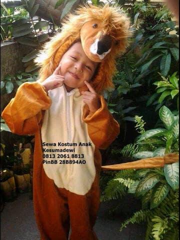 Terbaru! Singa Tk-120Cm, Baju Adat Anak Kostum Karakter Binatang Karnaval - ready stock