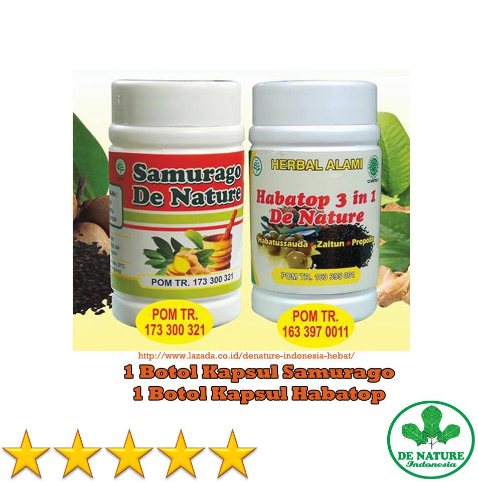 De Nature - Obat Tradisional Alami Herbal Ampuh Untuk Sakit Punggung / Penyakit Rematik / Pengapuran / Asam Urat / Syaraf Kejepit / Saraf Terjepit / HNP / Encok / Radang Sendi / Nyeri Tulang