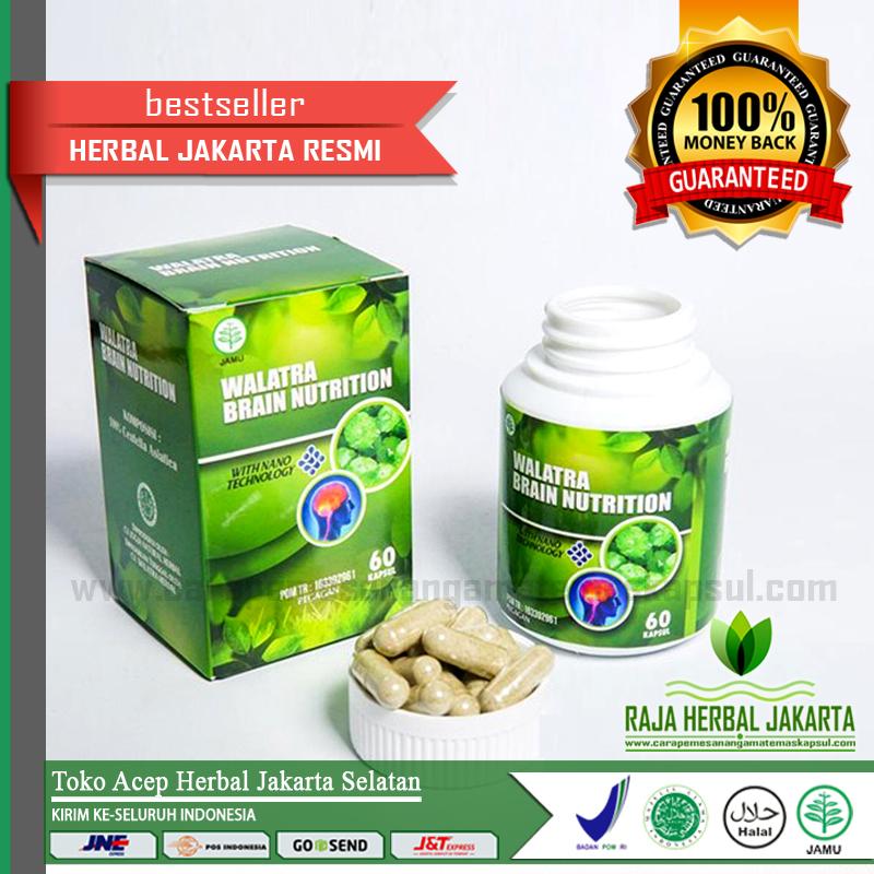 Walarta Brain Nutrition Kapsul Original Asli Di Jakarta Selatan - Penambah Daya Ingat - Kecerdasar Otak - Obat Lupa - Pikun - Pusing - Migrain - Sakit Kepala - Stroke -DLL
