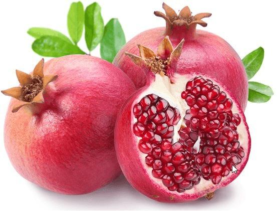 bibit pohon delima merah