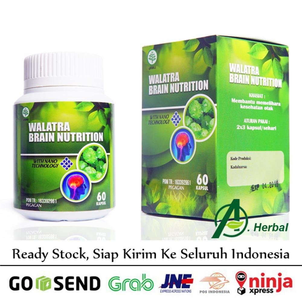 Obat Stroke, Sakit Kepala / Pusing Sebelah (Migrain), Pikun, Hemiplegia, Gangguan Sirkulasi Darah ke Otak, Arteriosclerosis, Penyempitan Pembuluh Darah, Vertigo | Brain Care Capsule di lapak Ari Herbal Store arihermansyah