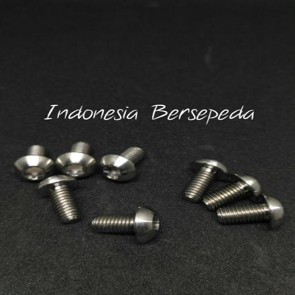Titanium Bolt For Six Bolt Rotor - Baut Rotor Titanium Raw Color