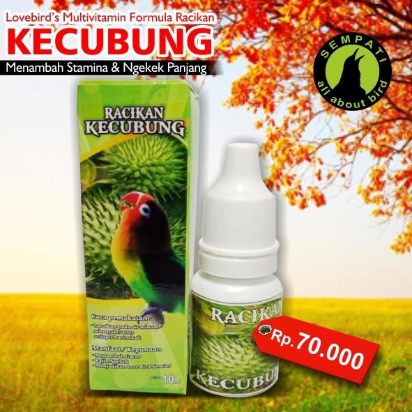 Racikan Kecubung Vitamin Burung Lovebird Juara Lomba Suara Ngekek Panjang Gacor Konslet Meningkatkan Mental Fighter