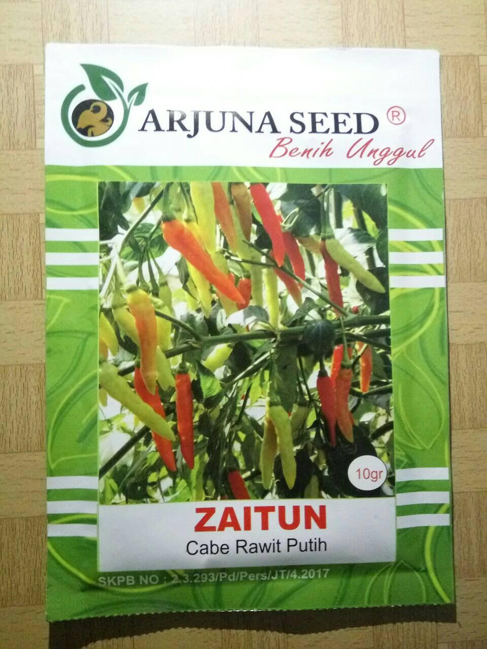 bibit cabe rawit putih suci super