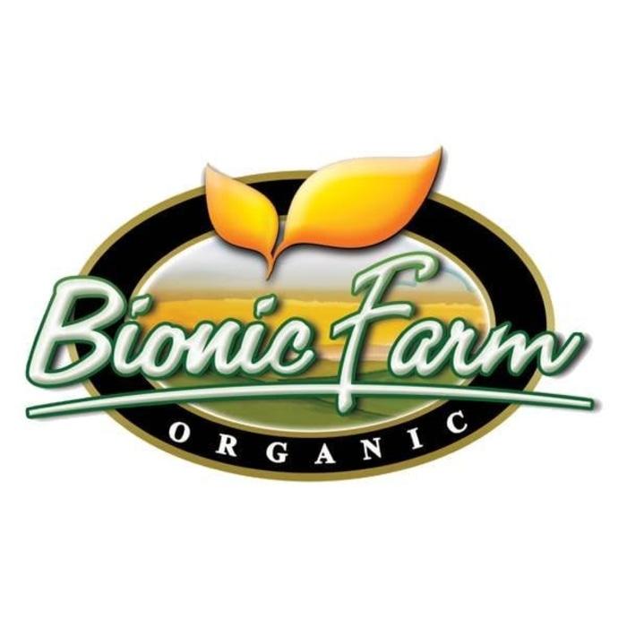 ALAMI Bionic Farm Keripik Jamur Tiram - Original 50 Gr PROMO