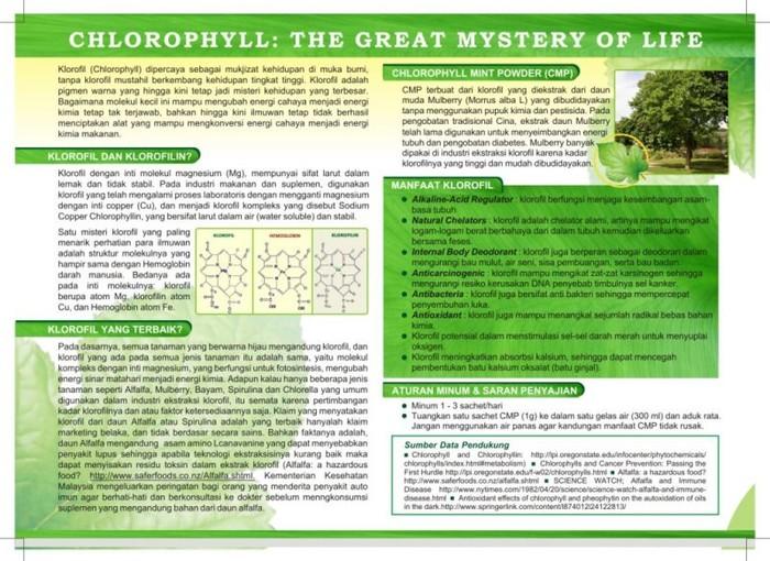 Promo - Chlorophyll Mint Powder/CMP Sangat Berkhasiat Utk Diet Serta Penyakit Lainya Asli Dari