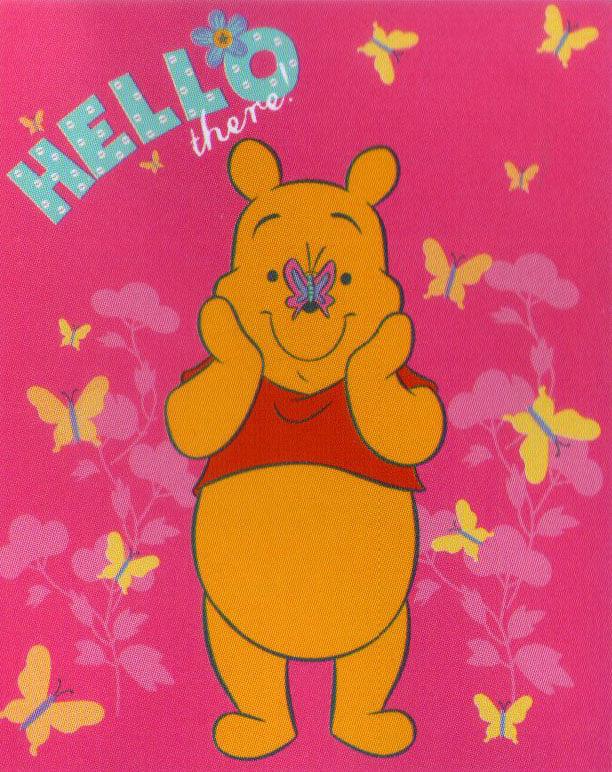 PROMO PALING MURAH Selimut Internal - Winnie the Pooh TERLARIS