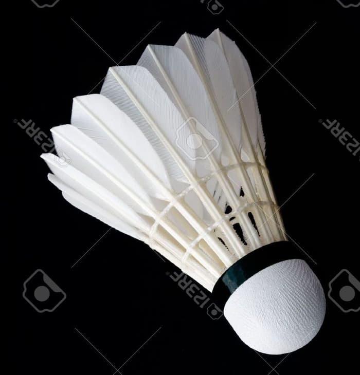 ASLI!!! ECER KOK MURAH STANDART BWF BULUTANGKIS BADMINTON - s0oB4Y