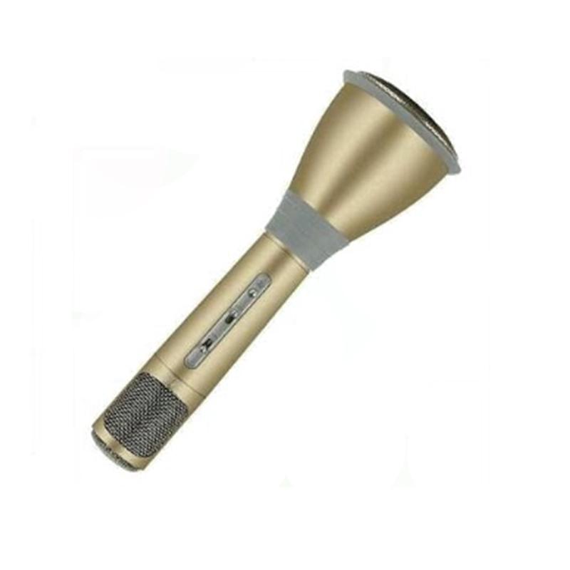 Ichiko K068 Microphone Speaker Karaoke