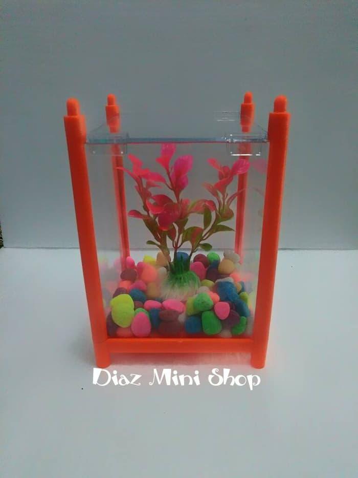 Paket Aquarium Mini Cupang / Aquarium mini