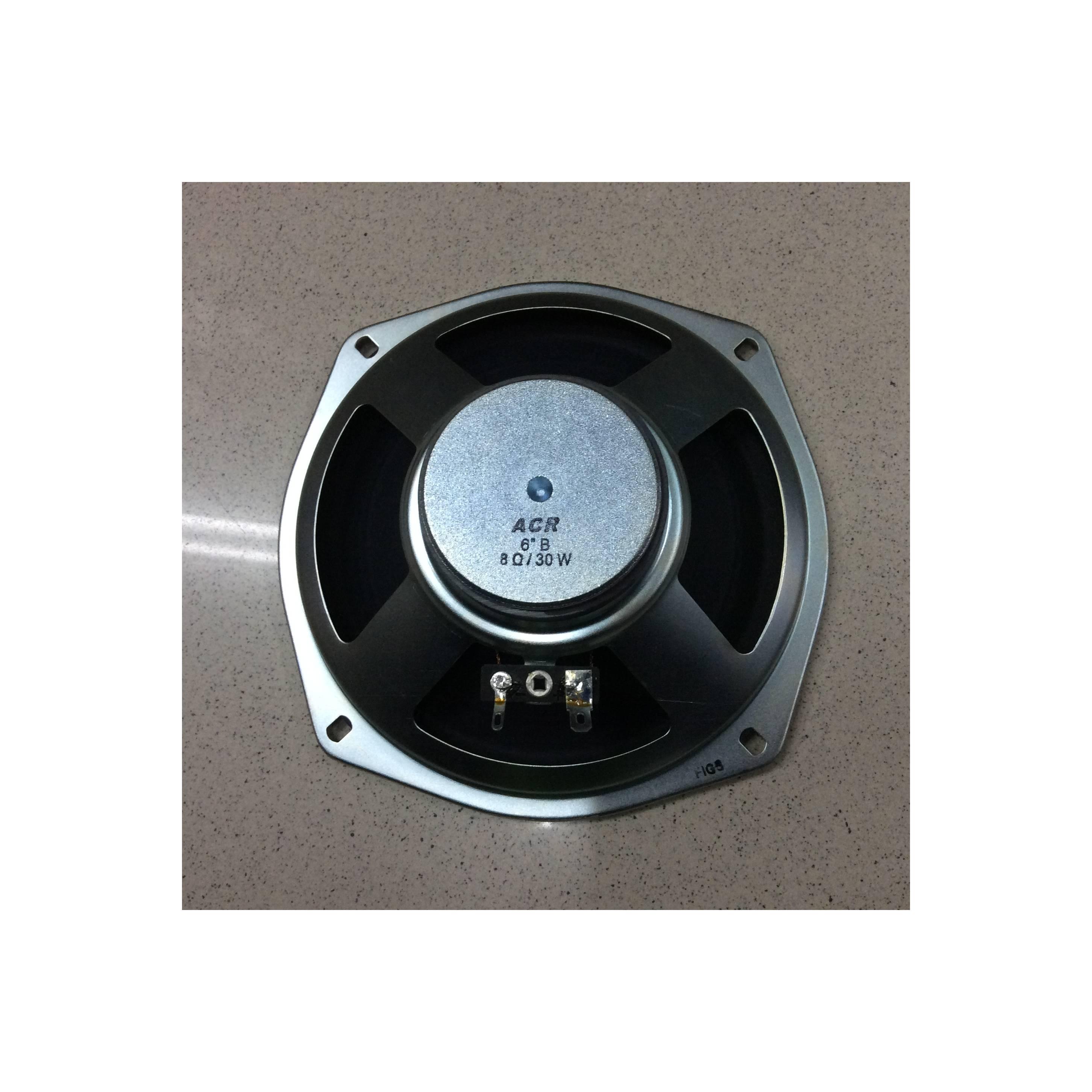 Speaker 6