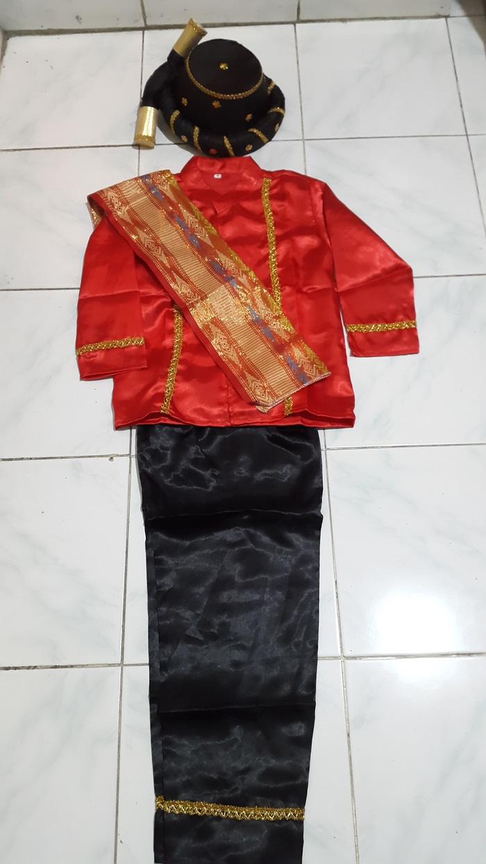 Baju Adat Batak 40Sumatera Utara41 Anak Laki laki