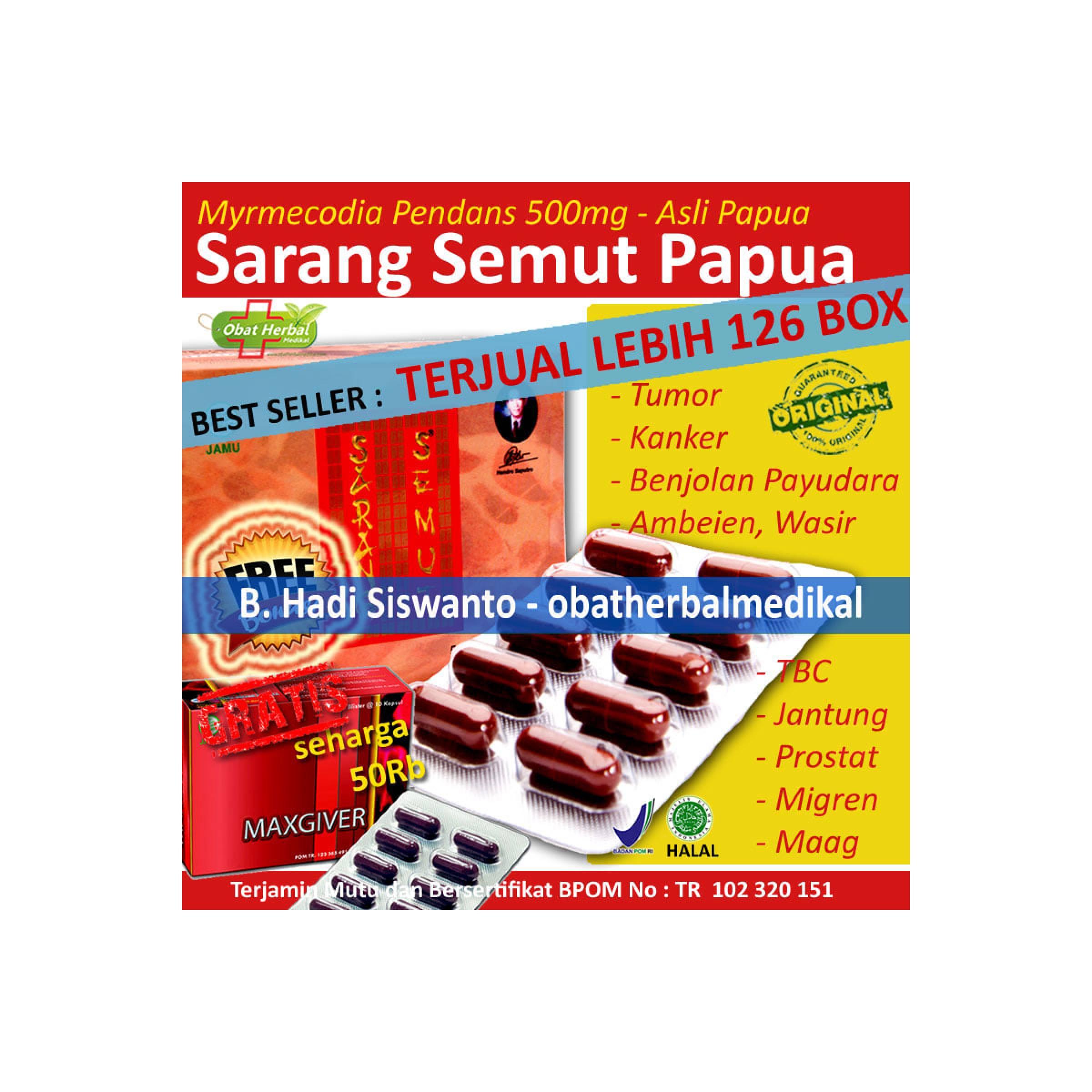 Sarang Semut Papua Obat Herbal Jantung, Batu Ginjal, Maag, Ambeien