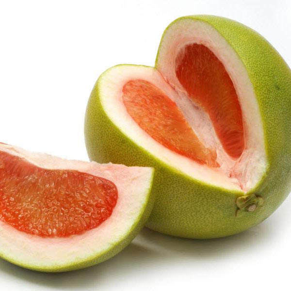 Bibit Pohon Jeruk Bali Merah