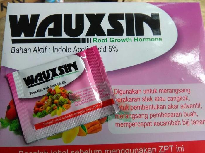 Hormon Penumbuh Akar Harga Grosir